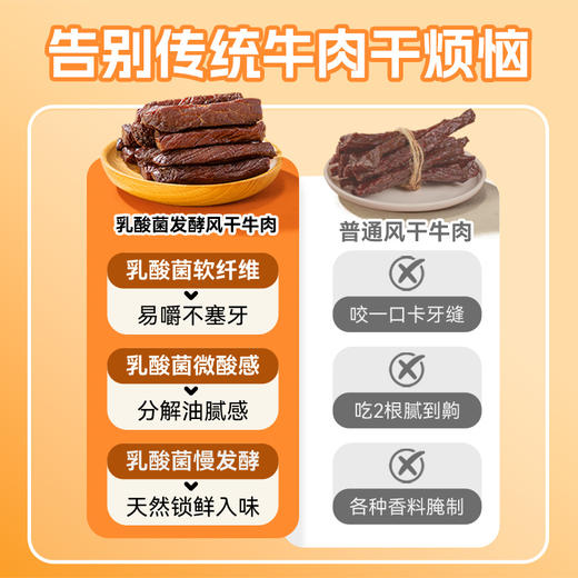 低脂高蛋白【乳酸菌工艺干而不柴 易嚼动 不硌牙】袋鼠先生乳酸菌风干牛肉干200g/袋 商品图3