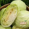 大理生态露天水果甘蓝（包菜）| 合作农友生产，来自云南大理，生产者：大熊 *【公平贸易农人定价】 商品缩略图1
