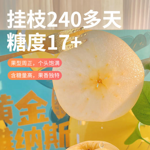 苹果界果王-黄金维纳斯 商品图4