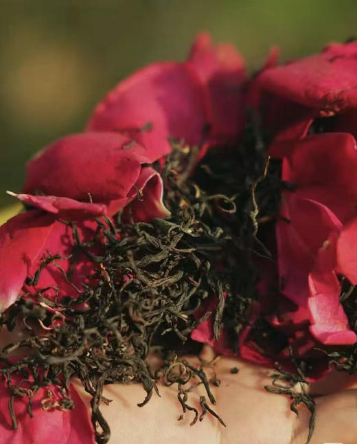 冰岛玫瑰红 商品图2