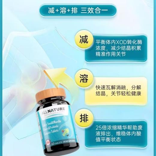 安美奇芹菜籽黑樱桃益生菌复合片60片/瓶 商品图1