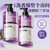 [透小蜜心选]【活动价￥19.9/瓶 ￥29.9/2瓶】【限时购！2瓶装巨划算】欧丝韵依兰花香氛沐浴露 商品缩略图1