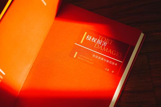 《侵权损害：赔偿原理与规范技术》赠讲座 商品图1