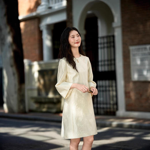 丁摩 秋冬丝毛混暗纹提花连衣裙 圆领九分袖中长款通勤百搭简约5ZF-76005 商品图0