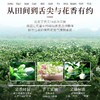 【福东海】茉莉花50克/罐 商品缩略图3