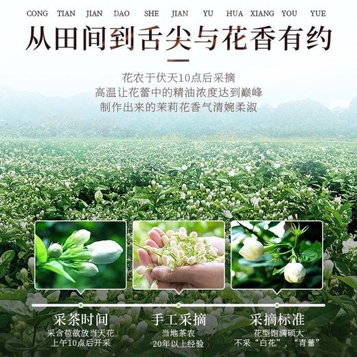 【福东海】茉莉花50克/罐 商品图3