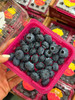 雪山恬蓝莓，当季好蓝莓🫐很甜的口感很大的颗粒，果粉足，🍃营养价值高💯护眼神器 商品缩略图11