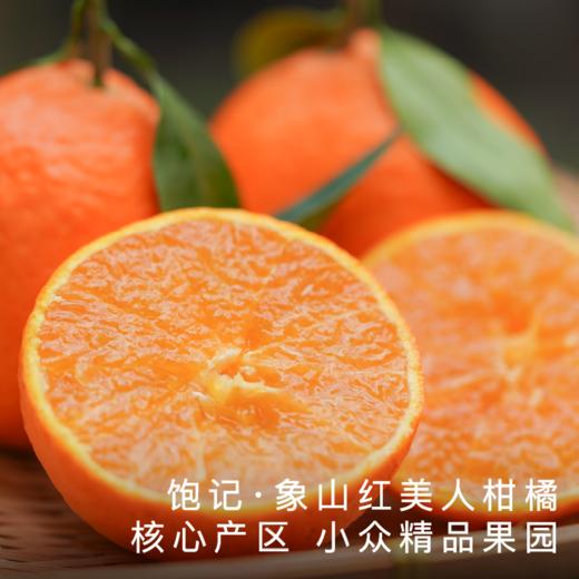 【顺丰发货】饱记正宗象山红美人柑橘5斤装 商品图0