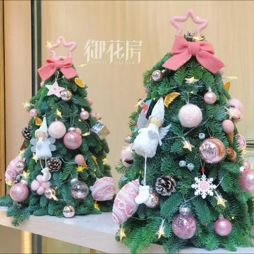 诺贝松圣诞树 商品图2
