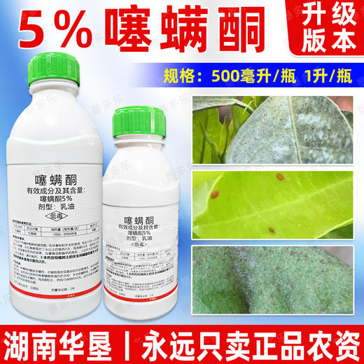 噻螨酮升级版杀虫剂柑橘果树月季花卉红蜘蛛专用杀卵杀螨剂正品 商品图0