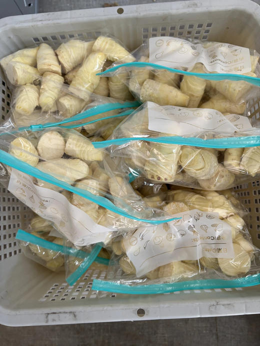 2025永安鲜冬笋去皮去壳只有笋肉，鲜冻笋发货，吃不完的话到家建议冷冻保存 每天现挖现发基地直邮 商品图1