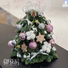 诺贝松圣诞树（高度20cm-30cm）