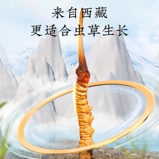 北京同仁堂冬虫夏草虫草精选4条1克10克礼盒 商品图1