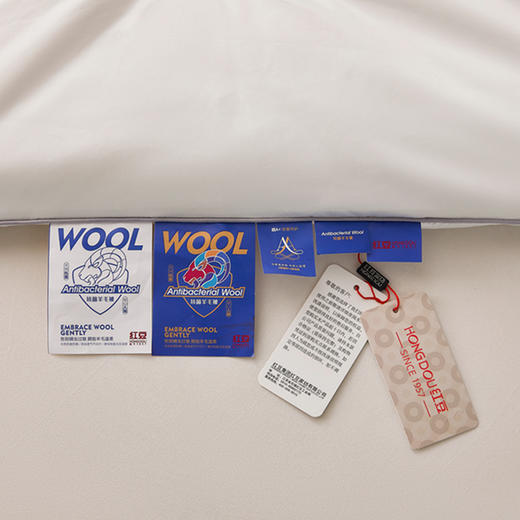 红豆/HONGDOU太赫兹10A抗菌羊毛冬被200*230cm  HD-DB250809 商品图3