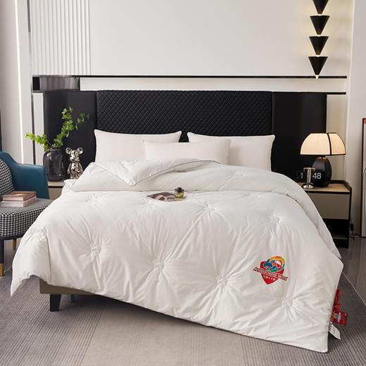 红豆/HONGDOU太赫兹10A抗菌羊毛冬被200*230cm  HD-DB250809 商品图2