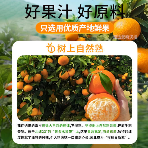 冰客沃柑复合果汁|HPP100%.鲜果冷压榨，清甜爽口，满满维C【4.4-4.6不发货，7号正常发货】 商品图3