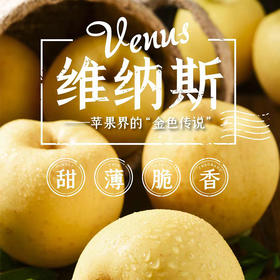 建宾黄金维纳斯苹果4.5斤礼盒装【分仓直发，72小时发货，周末节假日不发货】