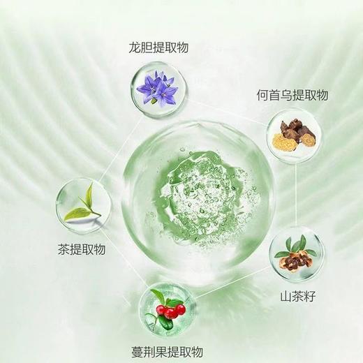 瑰柏松crabsong洗发水沐浴露液体香皂茶研系列五星级酒店专用同款 商品图3