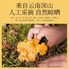 【福东海】七彩菌汤包100克/袋 商品缩略图4