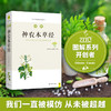 【原文白话文对照 中医四大经典】图解神农本草经 精美手绘插画 经典收藏馈赠佳品  D不参与折扣和优惠 商品缩略图1