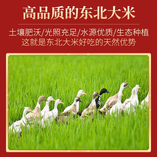 大稻三千现磨五常大米，贡米之乡-产地直发，当季新米，30天内现脱壳新鲜直达10斤装； 商品图4