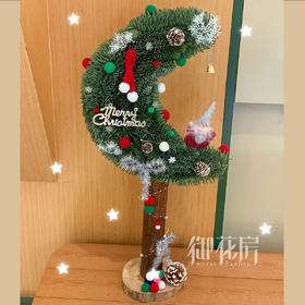 月亮形诺贝松圣诞树