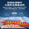 爱护佳中频腰部理疗仪YKX-Y80腰椎间盘突出曲度腰椎 商品缩略图1