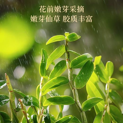 【福东海】铁皮石斛50克/盒（礼盒） 商品图4