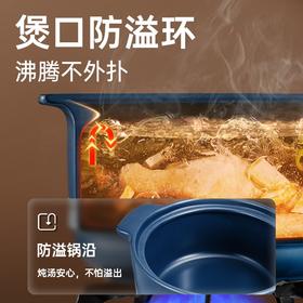 炊大皇（COOKER KING） 砂锅耐高温不裂陶瓷煲养生陶瓷煲炖锅汤锅煮锅国韵双鱼煲系列 【3.5L】600度干烧不裂