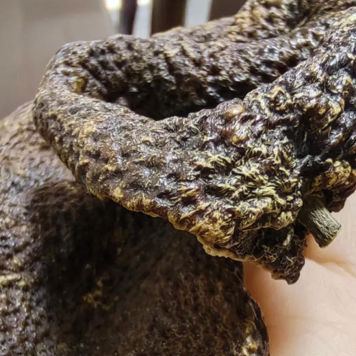 菜菜家得幸造物2017天马狗腩陈皮|量极少，陈皮届的‘甜妹’，立冬后采摘糖度高，小众又香甜 商品图0