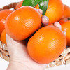【精选品质】探味君 广西武鸣沃柑 净重4.5斤 香甜多汁 商品缩略图3