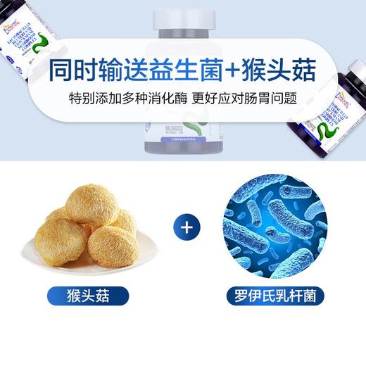美国进口爱司盟胃动力罗伊氏乳杆菌猴头茹复合1500mg*60片 商品图2