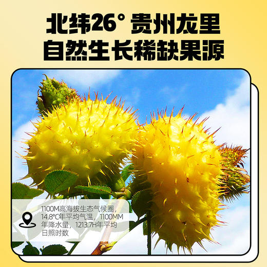 杞里香 默小吉刺梨原浆小袋装维C鲜果汁饮料非山王果原浆210ml*3盒 商品图1