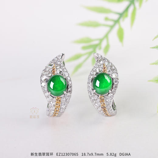 【新生】翡翠耳环  EZ12307065 商品图0