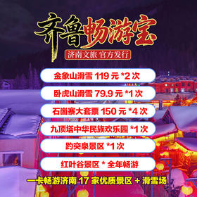 齐鲁畅游宝 一卡畅游济南17家优质景区+滑雪场！含：卧虎山滑雪、金象山滑雪、趵突泉、九顶塔、红叶谷、石崮寨、天上的街市...