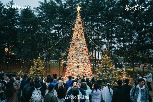 早鸟限时1周抢【麓湖麓客岛+荒野之国】麓客岛+荒野之国双人双园圣诞早鸟88元抢，圣诞节来麓湖，荒野雪村、森林木屋、动物互动、拖拉机巡游、圣诞岛集、爵士音乐会~~ 商品图4