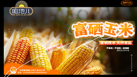 咱地儿富硒黏玉米10棒/箱（320g/棒）