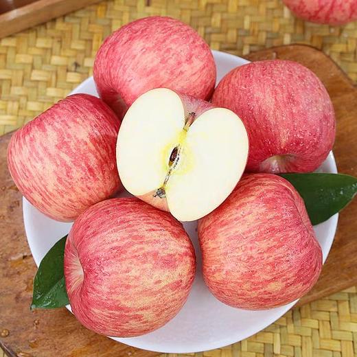 【泾川馆—艺果优品】甘肃泾川红富士苹果产地直发 商品图1