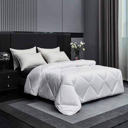 梦洁家纺奢享澳洲羊毛纤维被200*230cm  1010289073A005 商品图1