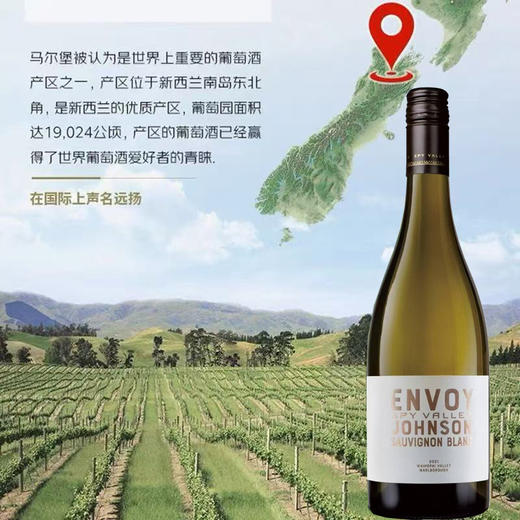 碟谷新西兰马尔堡大使长相思白葡萄酒750ml清新果香口感醇厚 商品图2
