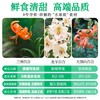 良工尚品兰州有机鲜百合80g 商品缩略图9