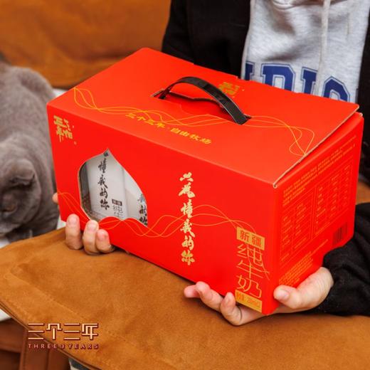 【无授权公域平台禁止上架】三个三年新疆纯牛奶250ml*12盒（成人款全脂奶） 商品图3