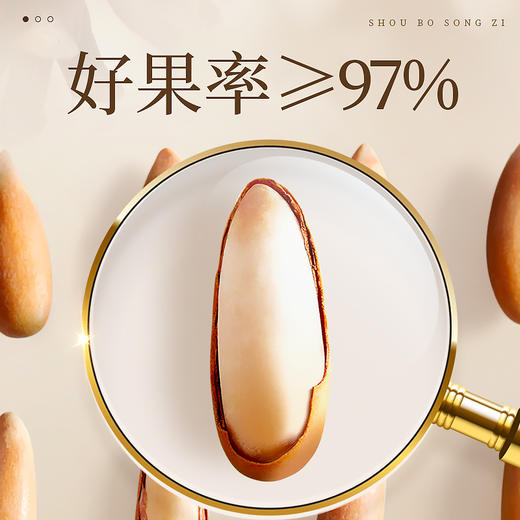 沃隆 巴西松子238g 阿富汗手剥松子 特大果 精选当季新果 商品图2