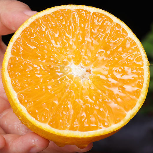 【精选品质】探味君 广西武鸣沃柑 净重4.5斤 香甜多汁 商品图2