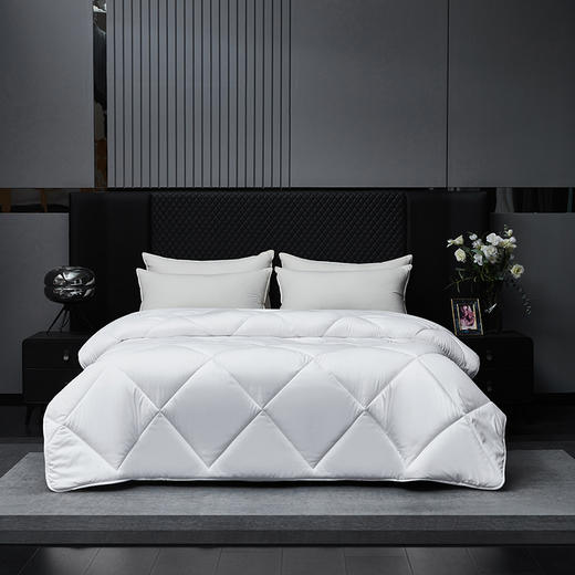 梦洁家纺奢享澳洲羊毛纤维被200*230cm  1010289073A005 商品图0