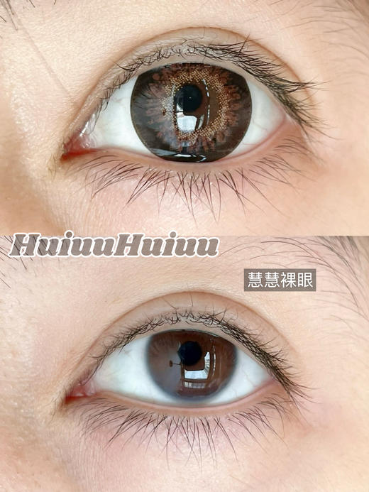 【大直径年抛】SPRINGCON-枫糖玫瑰/迷失小鹿/心动小熊14.5mm【0-800度 含525/575】 商品图3