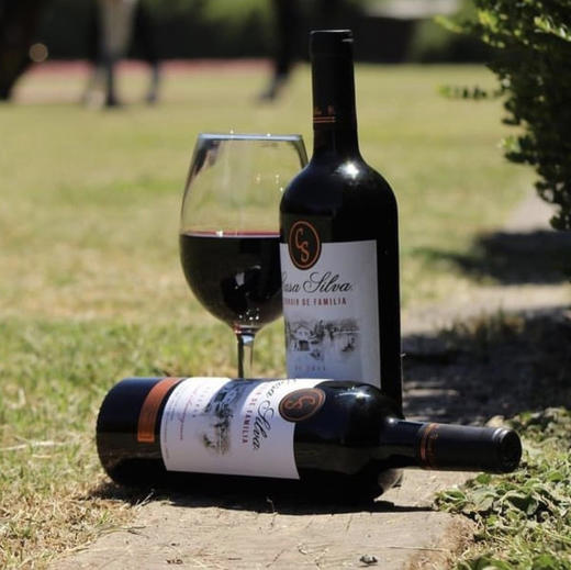 【6支整箱】智利一级庄！ 玺瓦酒家族珍藏赤霞珠 / 佳美娜 干红 Casa Silva Familia Reserva Cabernet Sauvignon / Carmenere 2021 商品图3