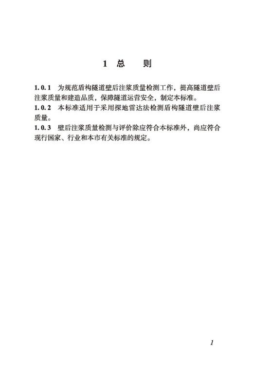 盾构隧道壁后注浆质量检测技术标准DG/TJ08-2485-2025 商品图2