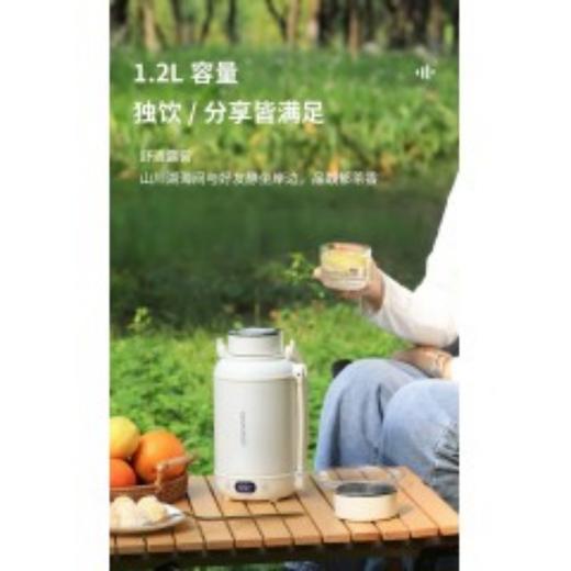大宇电热水杯DYSH-BX12 科洛白 商品图1