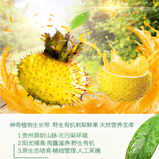 泷滋宝益生元刺梨原汁35ml*10袋/盒，科学配比丰富VC，全家都能喝！ 商品图3